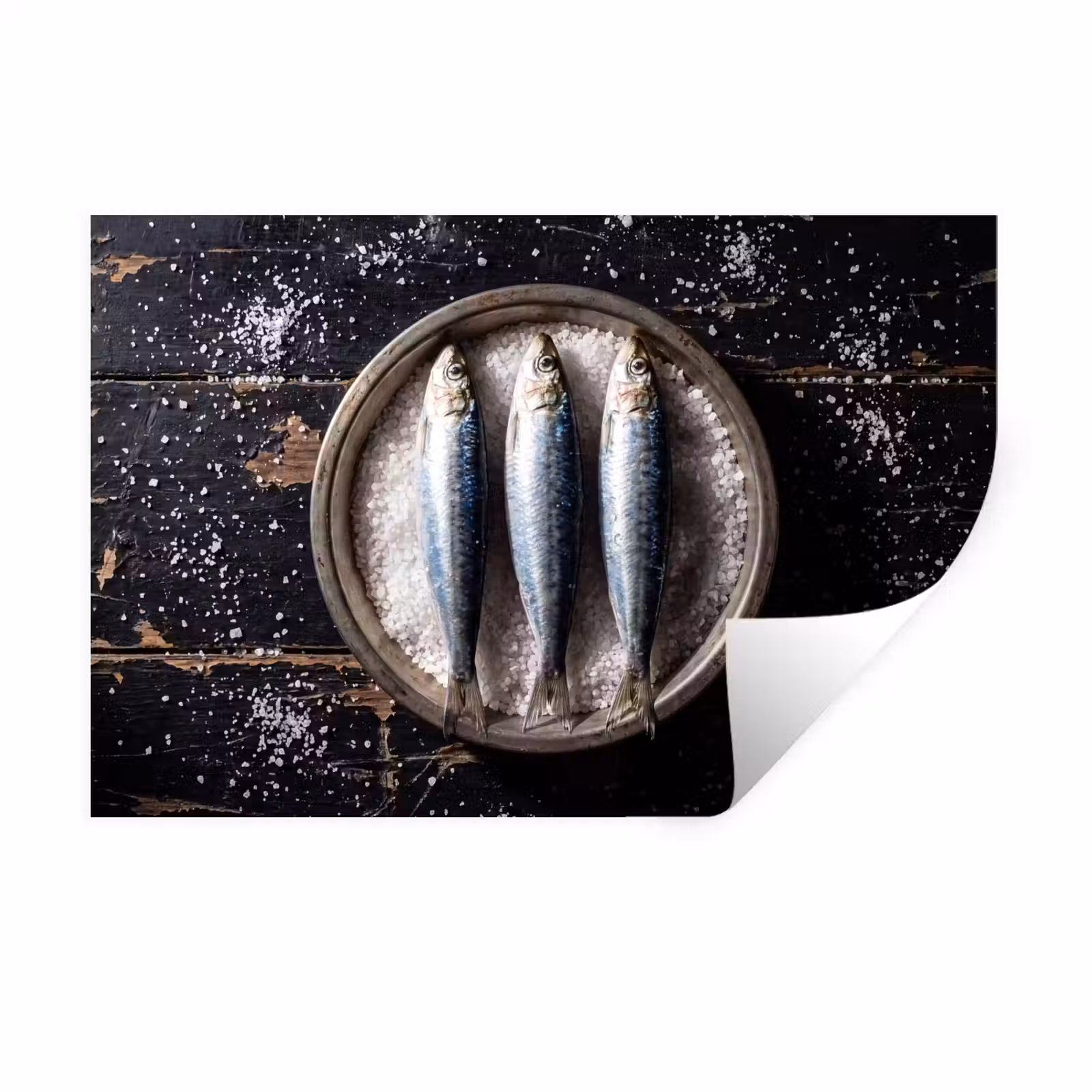 Muursticker - Vis - Zout - Eten — 1