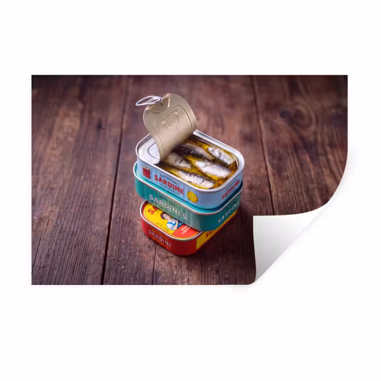 Muursticker - Vis - Blikjes - Keuken — 1