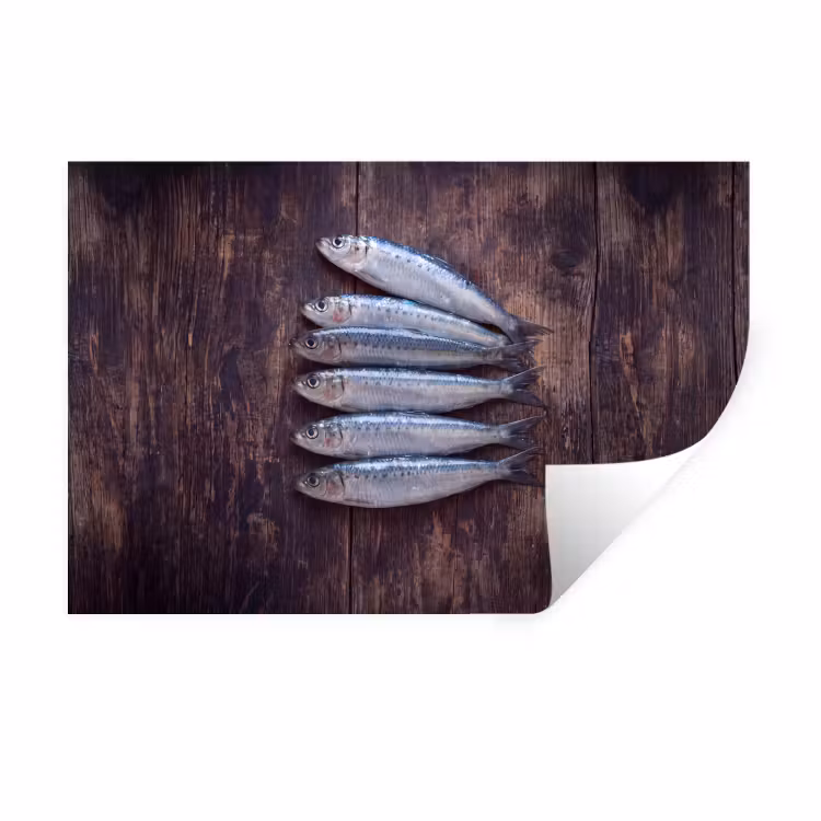 Muursticker - Vis - Hout - Eten — 1