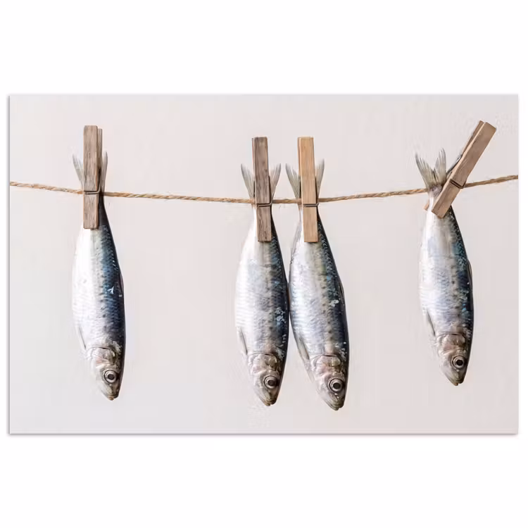 Poster - Vis - Hangend - Eten — 1