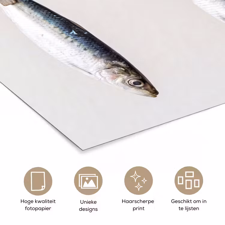 Poster - Vis - Hangend - Eten — 5