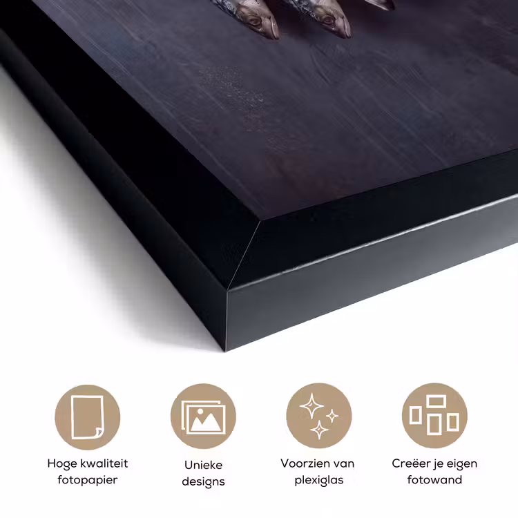 Poster met lijst - Drie vissen - Touw — 6