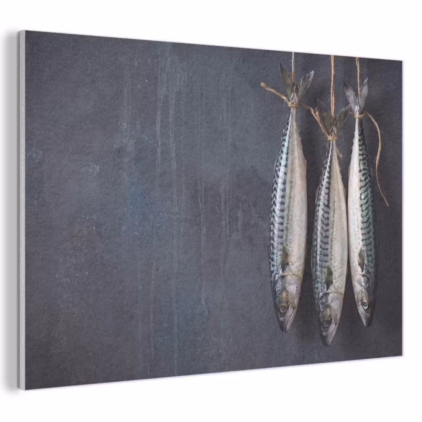Akoestisch schilderij - Drie vissen - Touw — 1