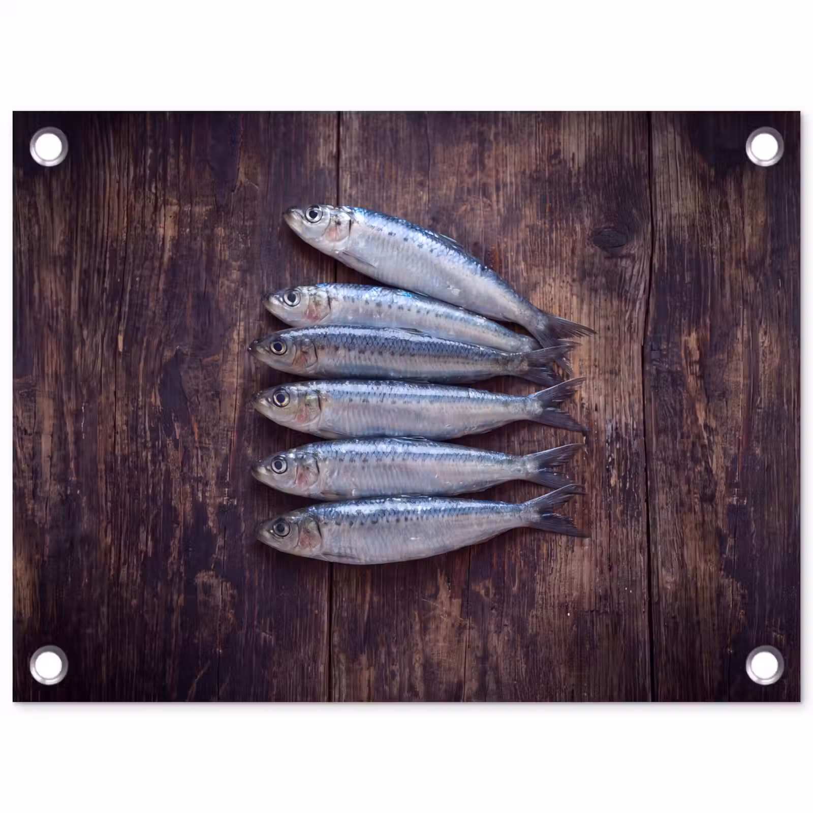 Tuinposter - Vis - Hout - Eten — 1