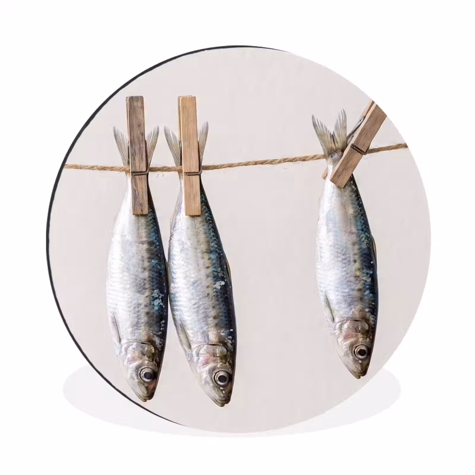 Wandcirkel - Aluminium - Vis - Hangend - Eten — 1