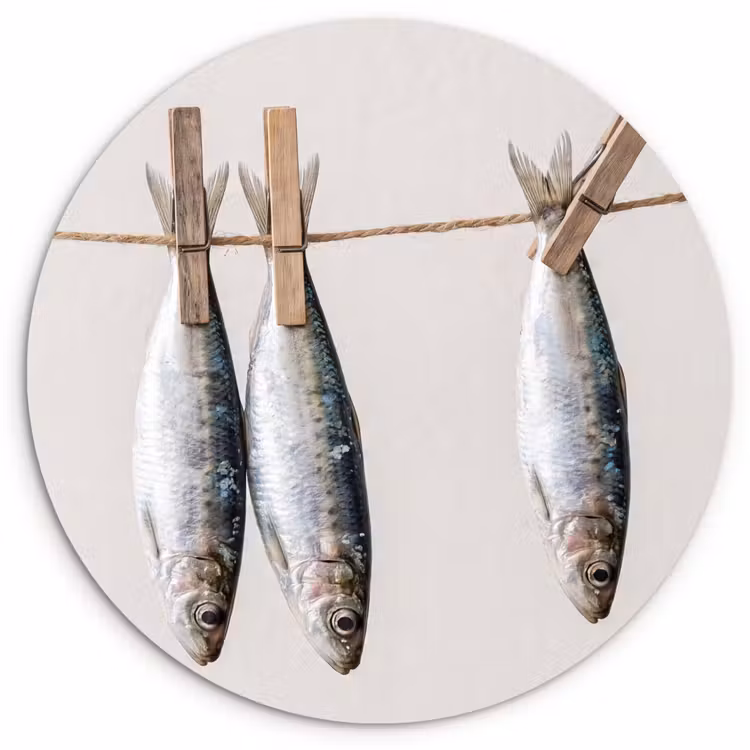 Wandcirkel - Glas - Vis - Hangend - Eten — 1