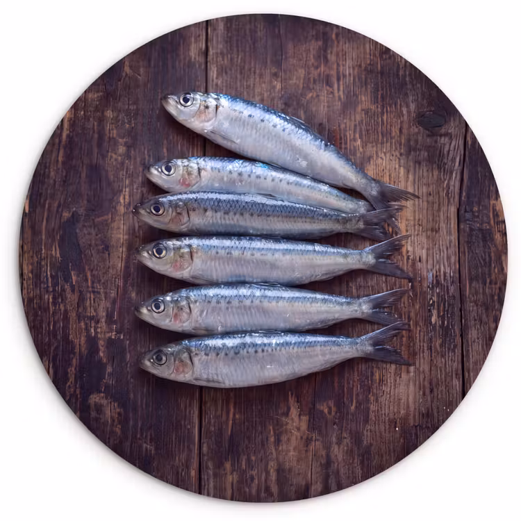 Wandcirkel - Glas - Vis - Hout - Eten — 1