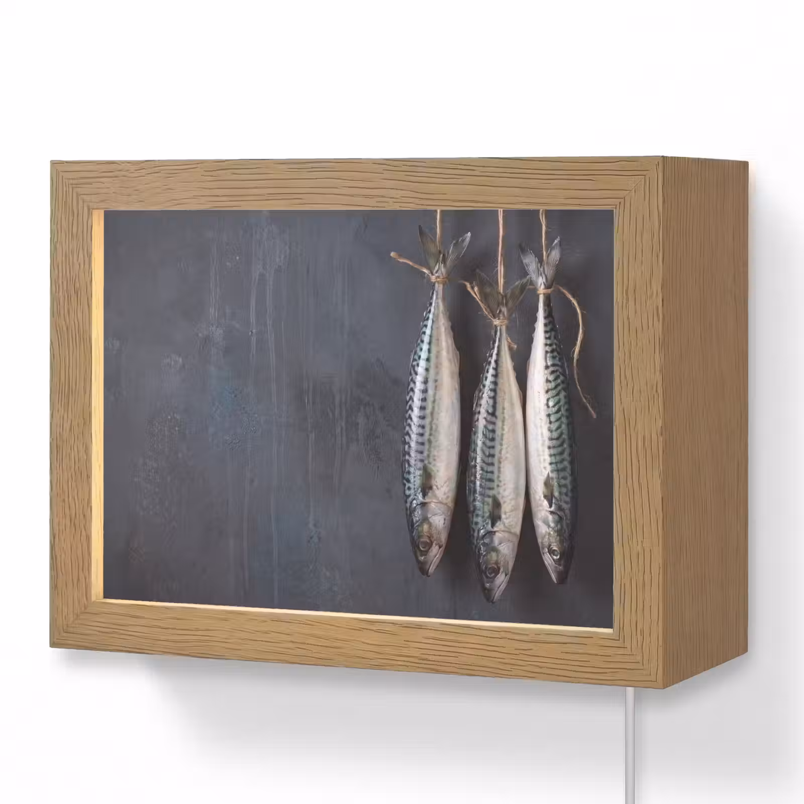 Lightbox - Wandlamp - Drie vissen - Touw — 1