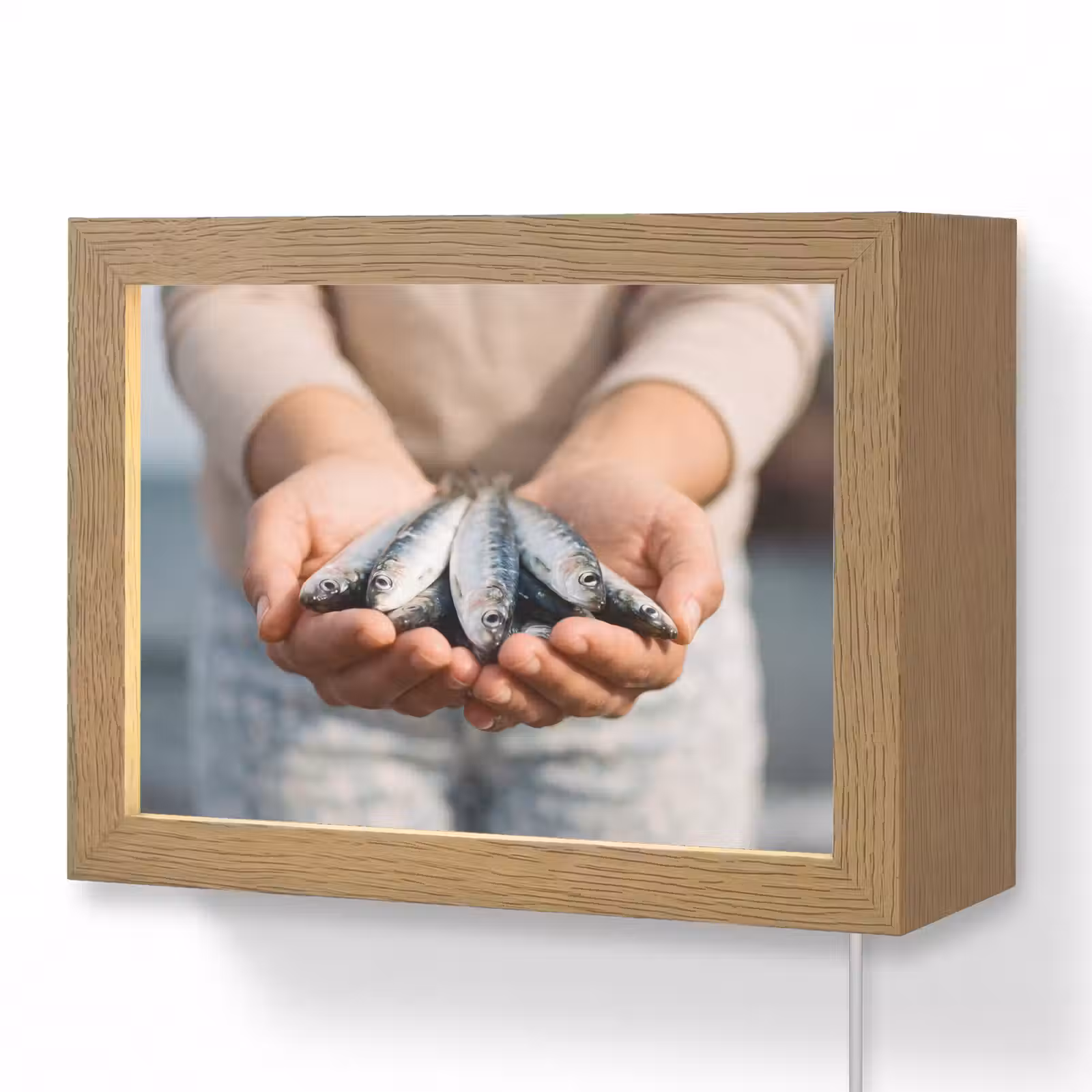 Lightbox - Wandlamp - Vis - Handen - Natuur — 1