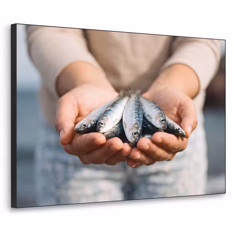 Art Frame - Vis - Handen - Natuur — 1