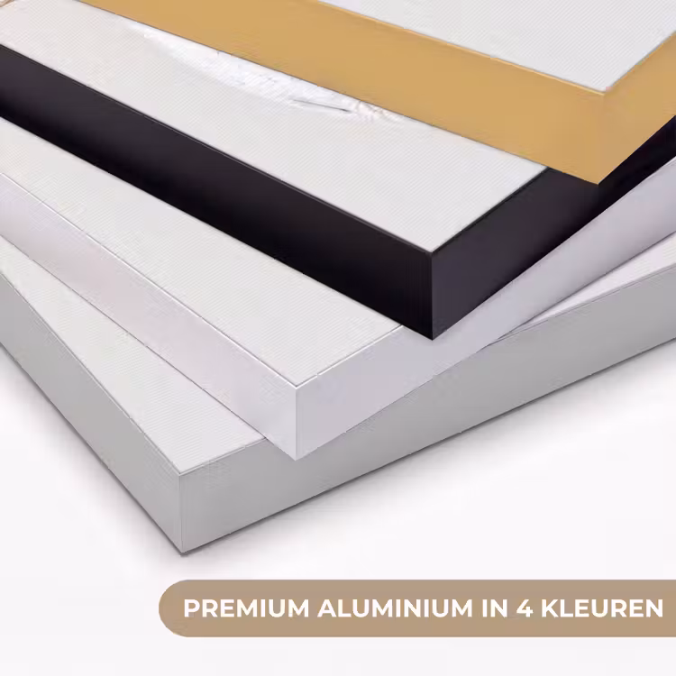 Art Frame - Vis - Hangend - Eten — 2