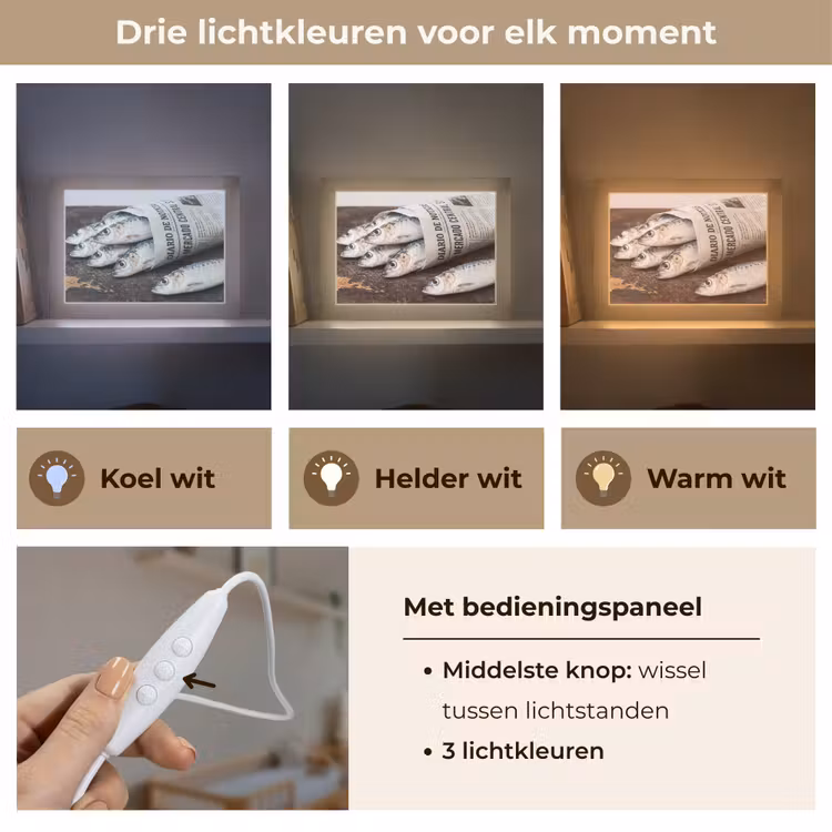 Lightbox - Wandlamp - Sardientje - krant - snijplank — 7