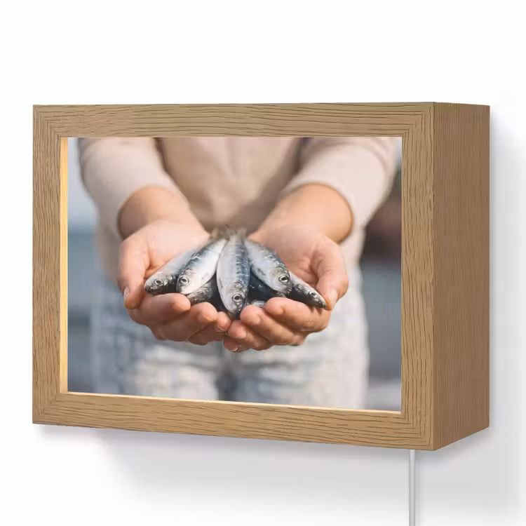 Lightbox - Wandlamp - Vis - Handen - Natuur — 1