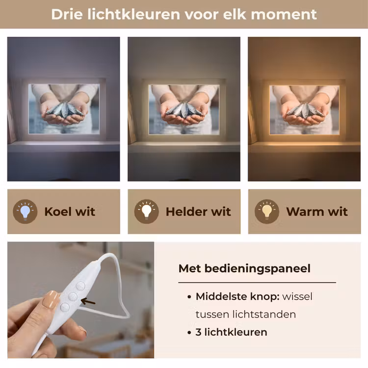 Lightbox - Wandlamp - Vis - Handen - Natuur — 7