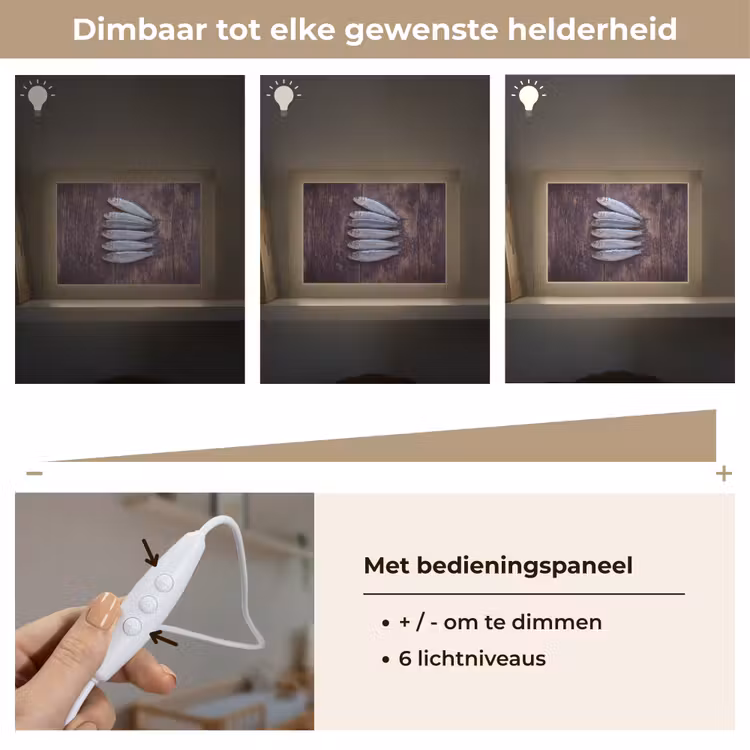 Lightbox - Wandlamp - Vis - Hout - Eten — 8