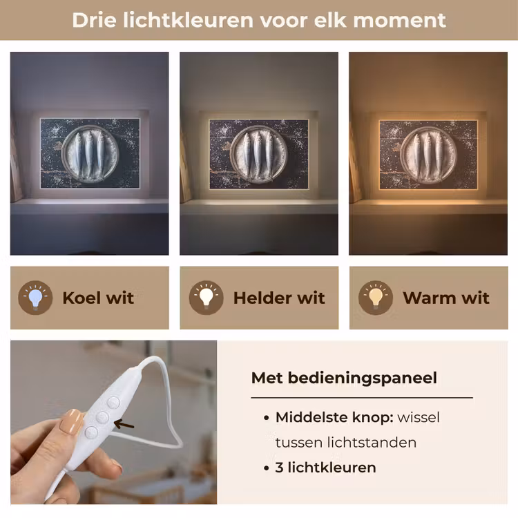 Lightbox - Wandlamp - Vis - Zout - Eten — 7