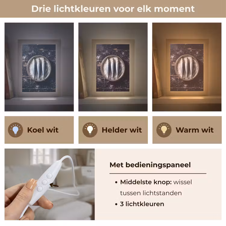 Tafellamp - Vis - Zout - Eten — 6