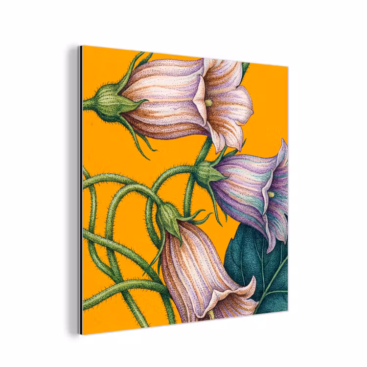 Aluminium schilderij - Bloemen - Botanisch - Geel — 1