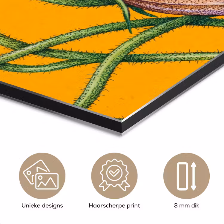 Aluminium schilderij - Bloemen - Botanisch - Geel — 7