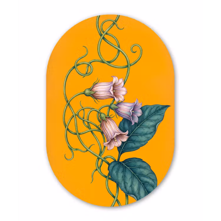 Muurovaal aluminium - Bloemen - Botanisch - Geel — 1
