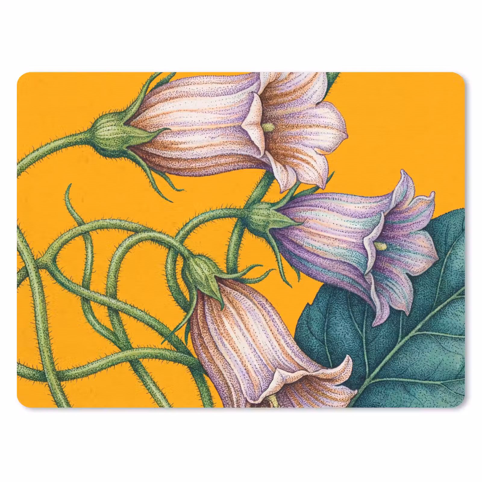 Muismat - Bloemen - Botanisch - Geel — 1