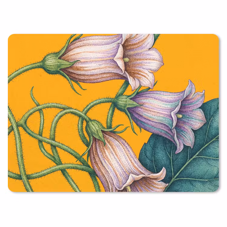 Muismat - Bloemen - Botanisch - Geel — 1