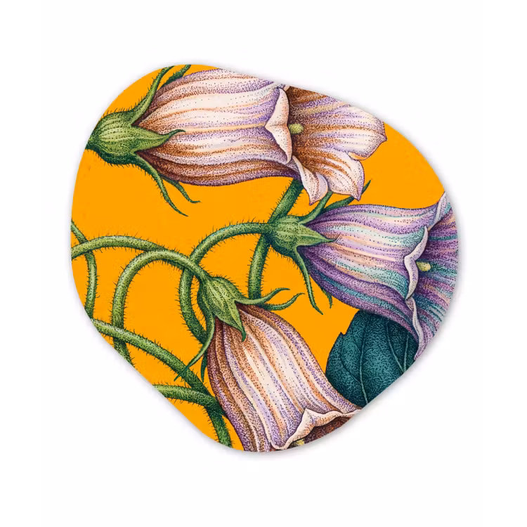 Organisch schilderij - Forex - Bloemen - Botanisch - Geel — 1
