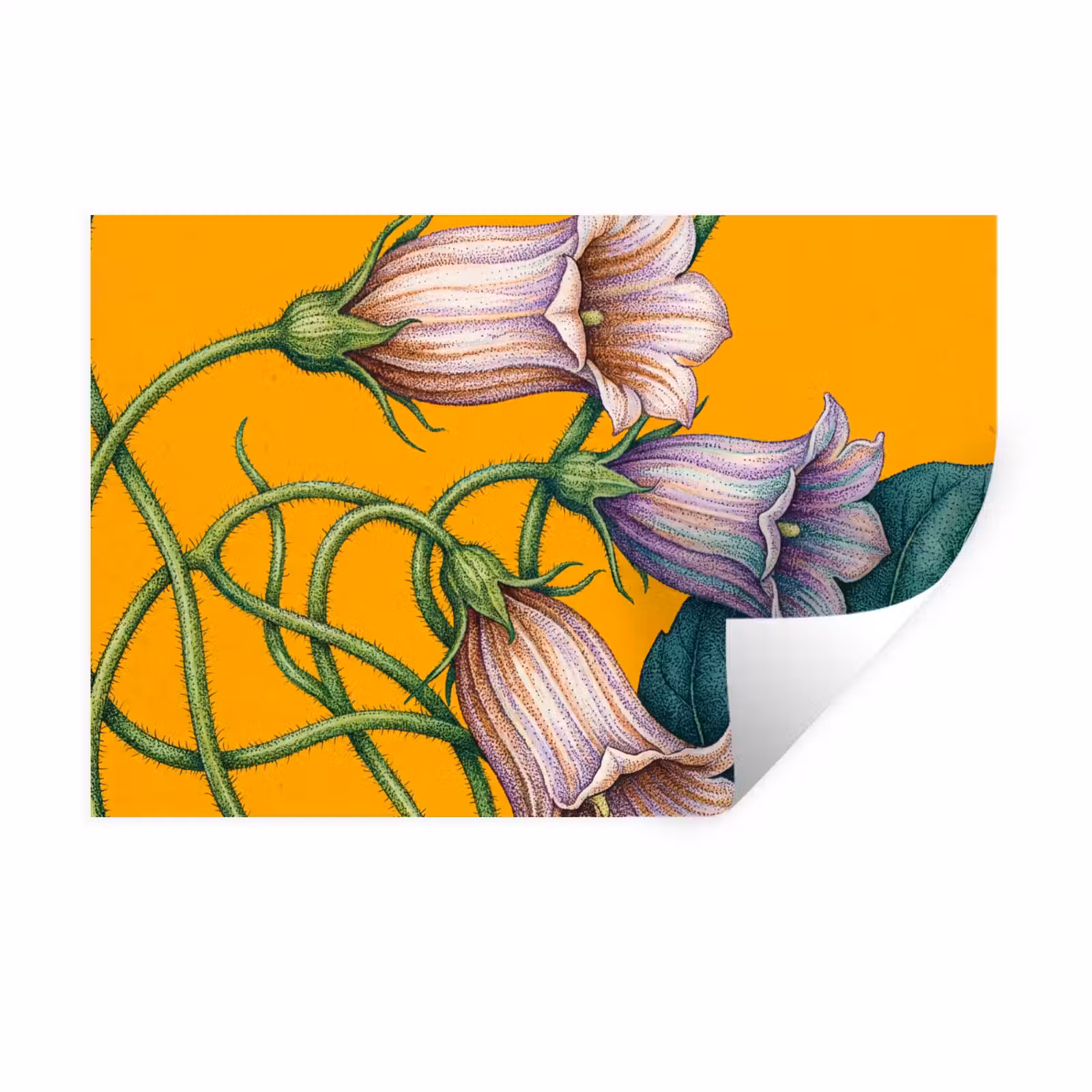 Muursticker - Bloemen - Botanisch - Geel — 1