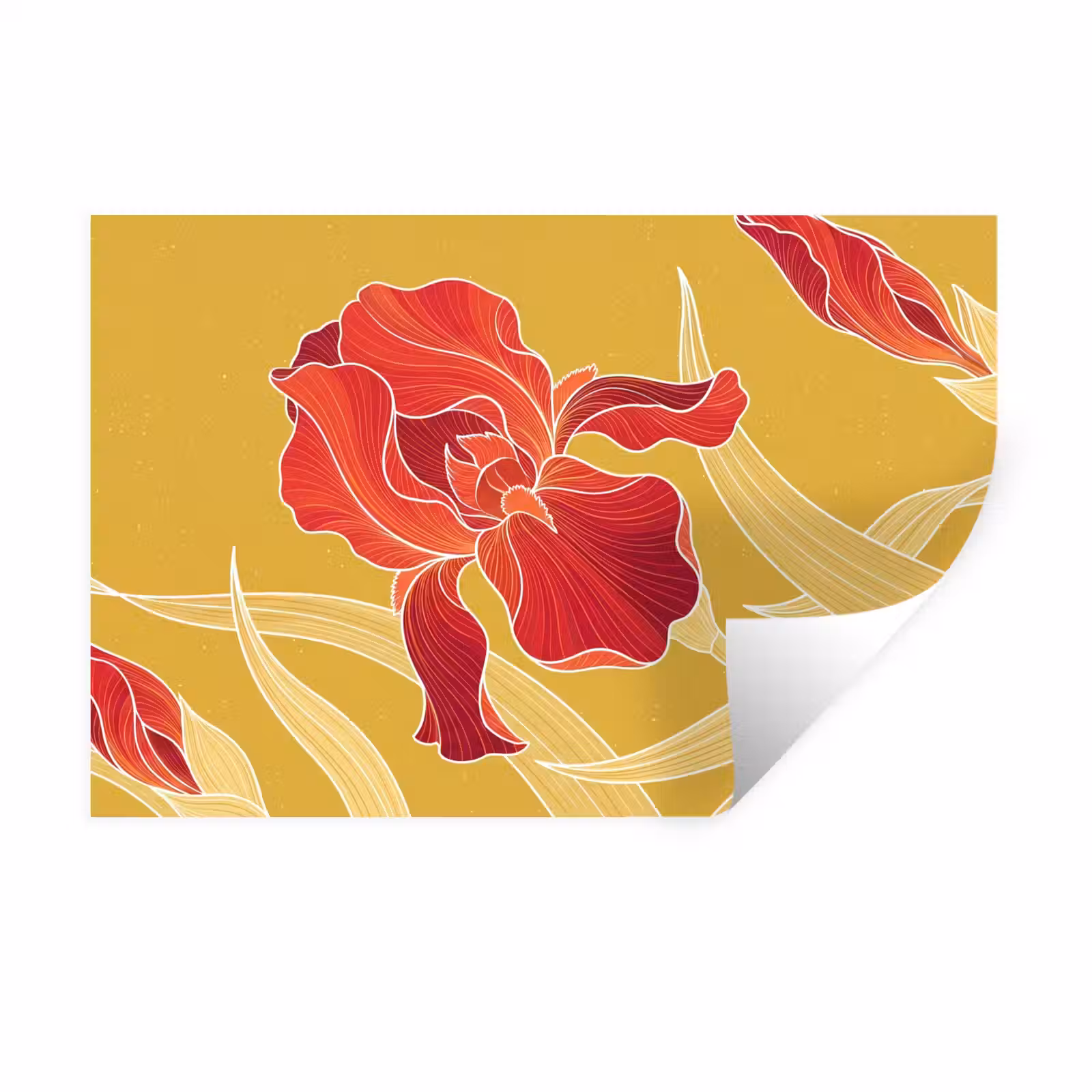 Muursticker - Bloemen - Illustratie - Rood — 1