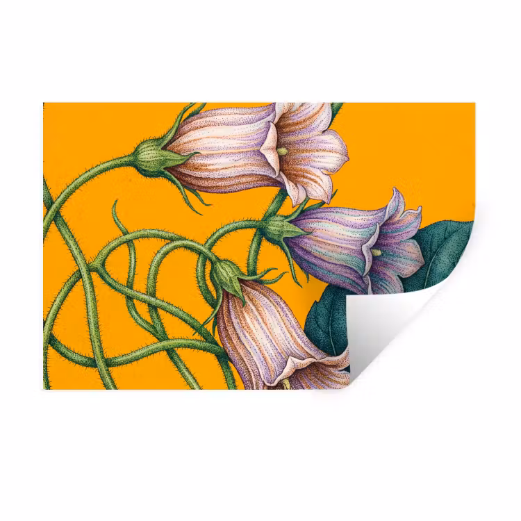 Muursticker - Bloemen - Botanisch - Geel — 1