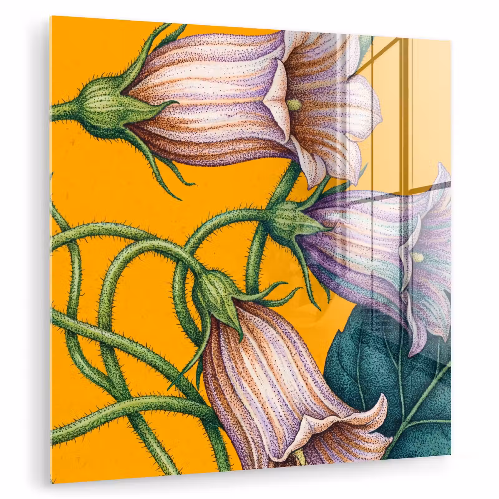 Glas schilderij - Bloemen - Botanisch - Geel — 1