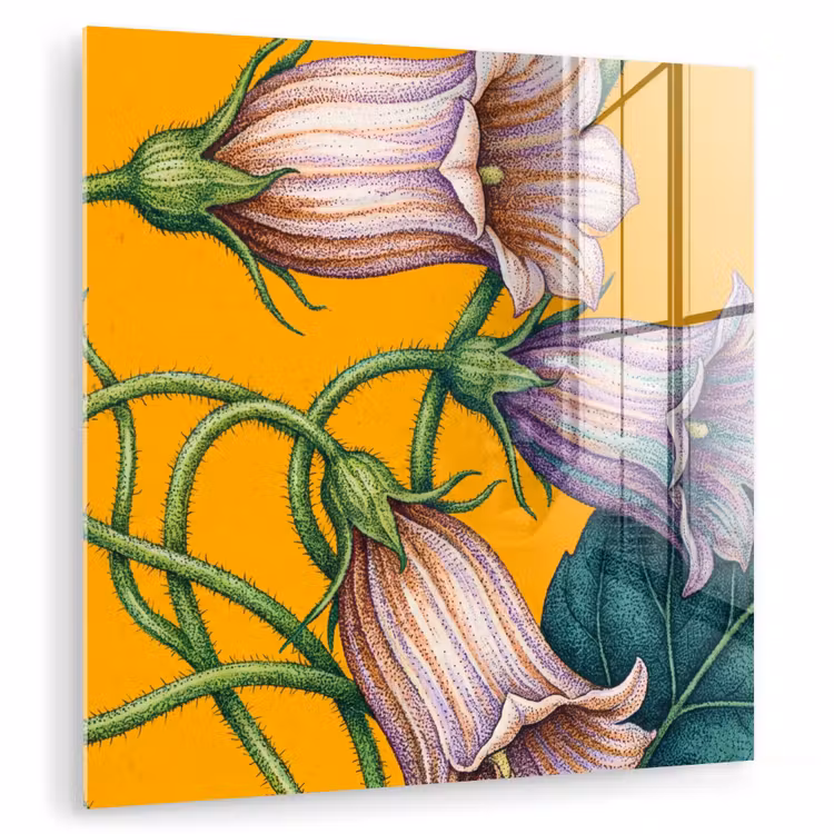Glas schilderij - Bloemen - Botanisch - Geel — 1