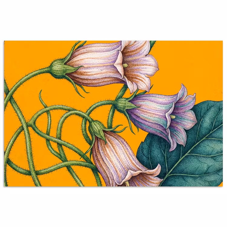 Poster - Bloemen - Botanisch - Geel — 1