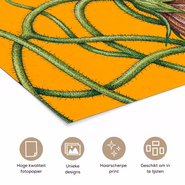 Poster - Bloemen - Botanisch - Geel — 5