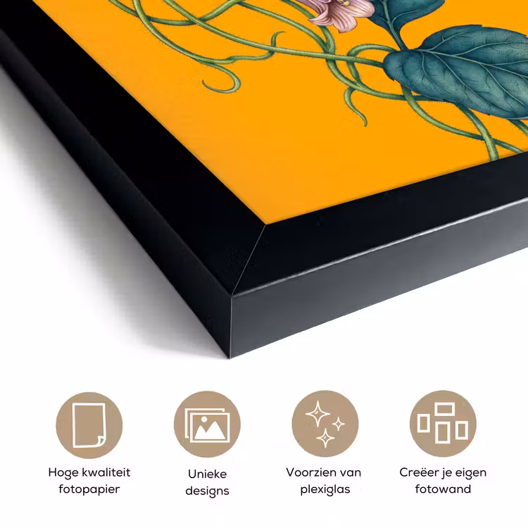 Poster met lijst - Bloemen - Botanisch - Geel — 6