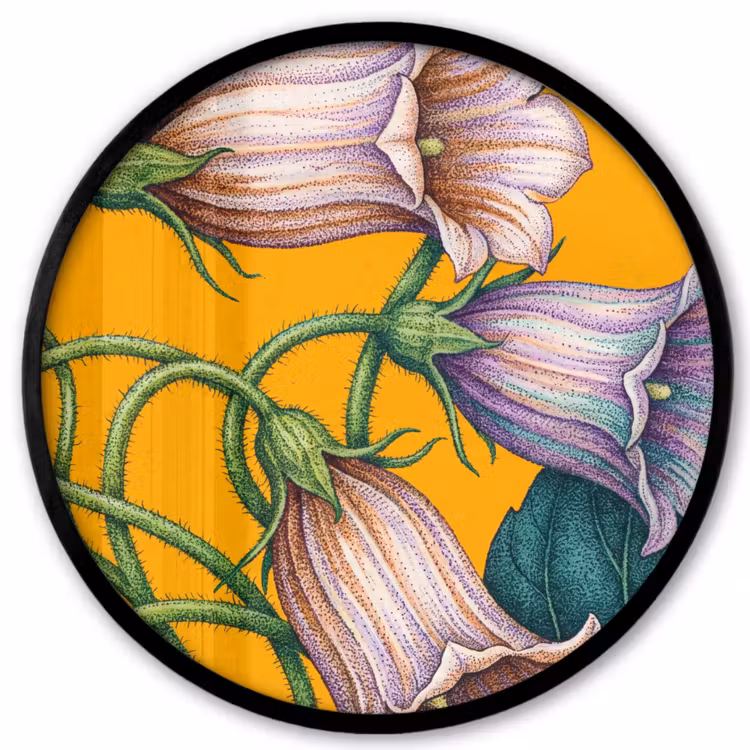 Ronde fotolijst - Bloemen - Botanisch - Geel — 1