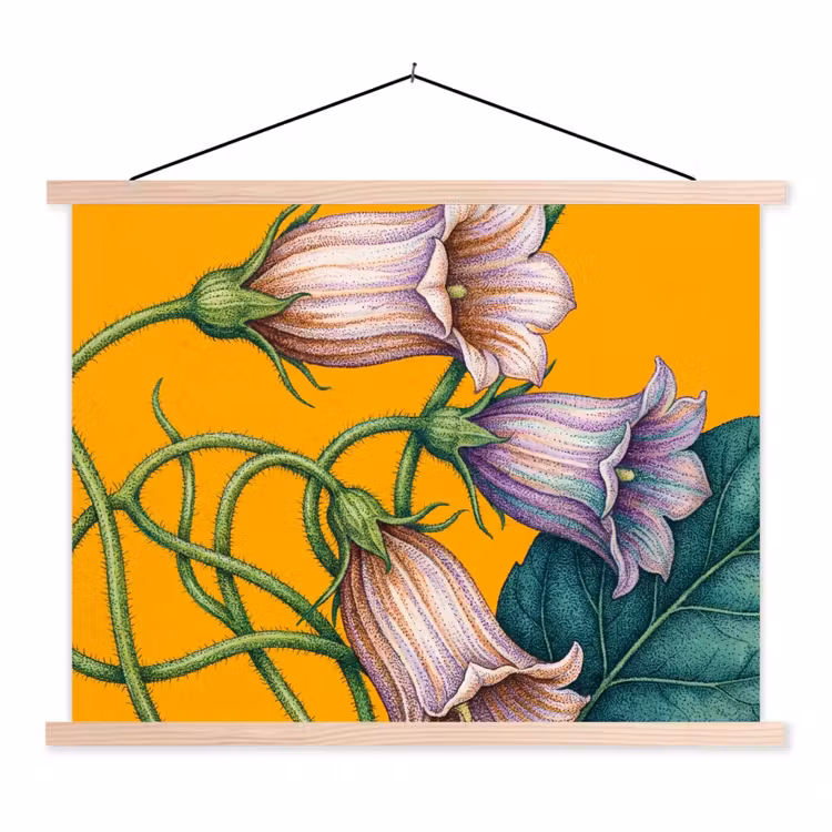 Schoolplaat - Bloemen - Botanisch - Geel — 1