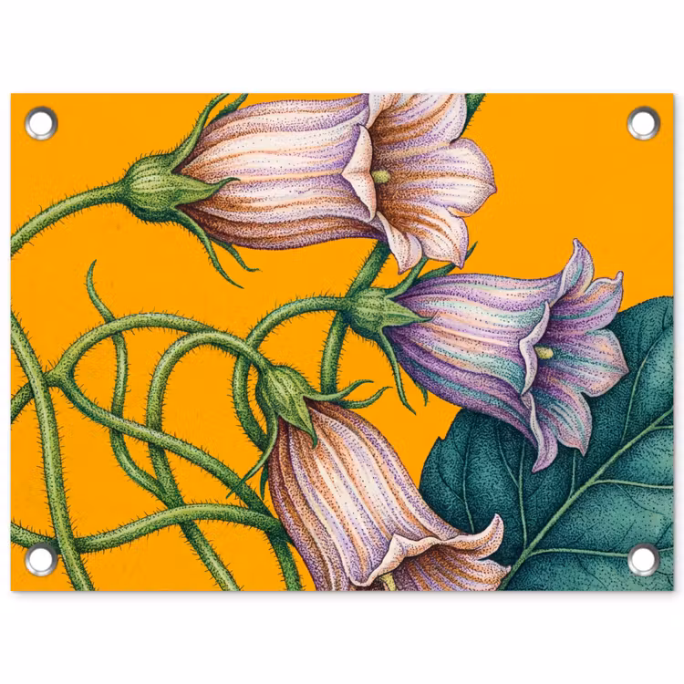Tuinposter - Bloemen - Botanisch - Geel — 1