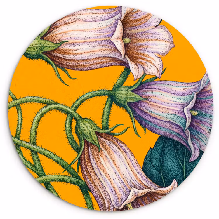 Wandcirkel - Glas - Bloemen - Botanisch - Geel — 1