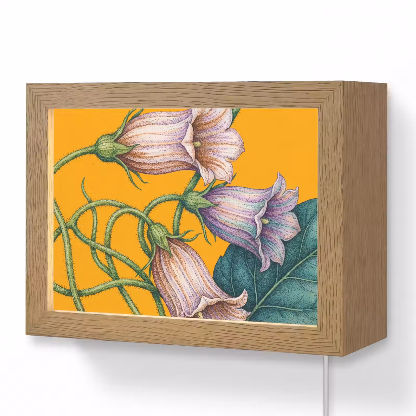 Lightbox - Wandlamp - Bloemen - Botanisch - Geel — 1