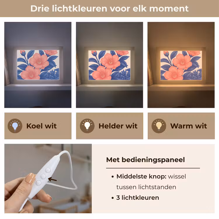 Lightbox - Wandlamp - Bloemen - Bladeren - Botanisch — 7