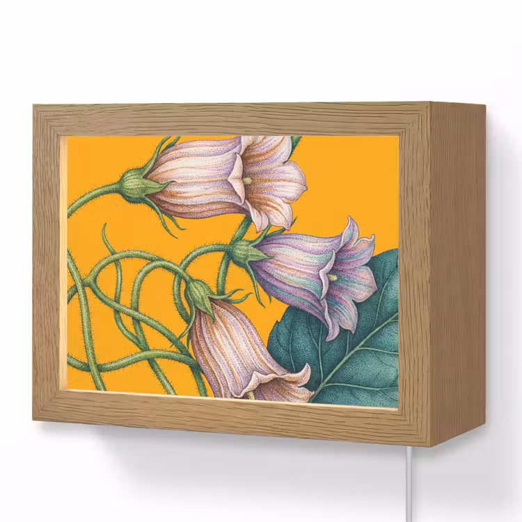 Lightbox - Wandlamp - Bloemen - Botanisch - Geel — 1