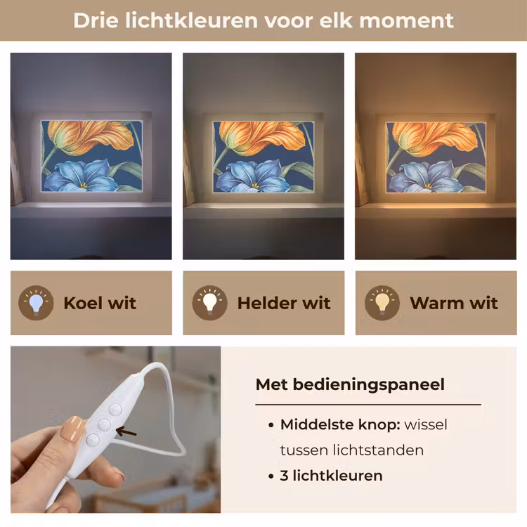 Lightbox - Wandlamp - Bloemen - Botanisch - Patroon — 7