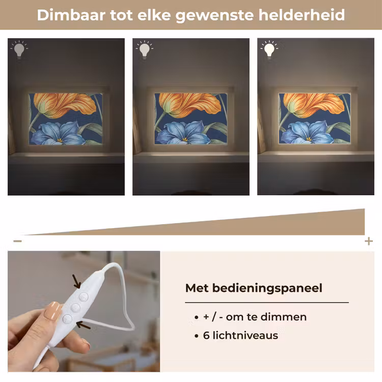 Lightbox - Wandlamp - Bloemen - Botanisch - Patroon — 8