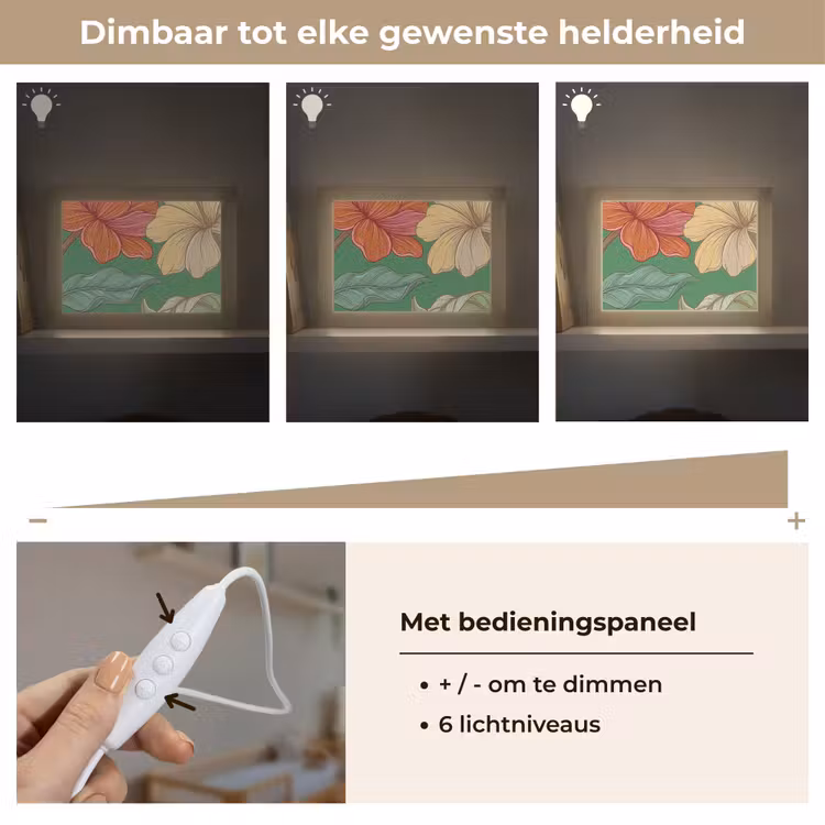 Lightbox - Wandlamp - Bloemen - Groen - Illustratie — 8