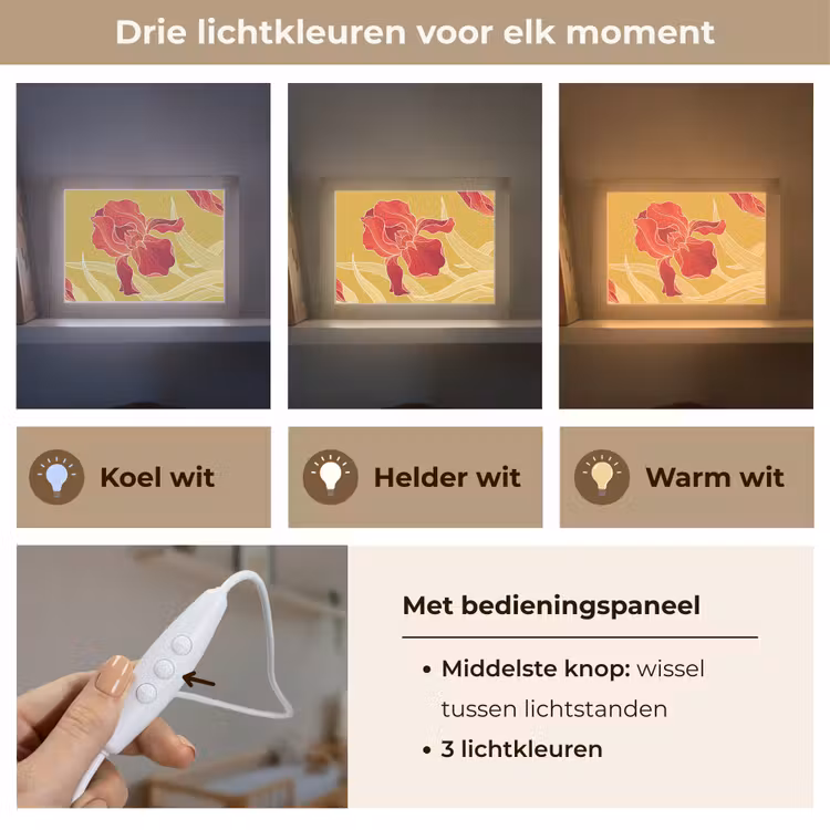 Lightbox - Wandlamp - Bloemen - Illustratie - Rood — 7