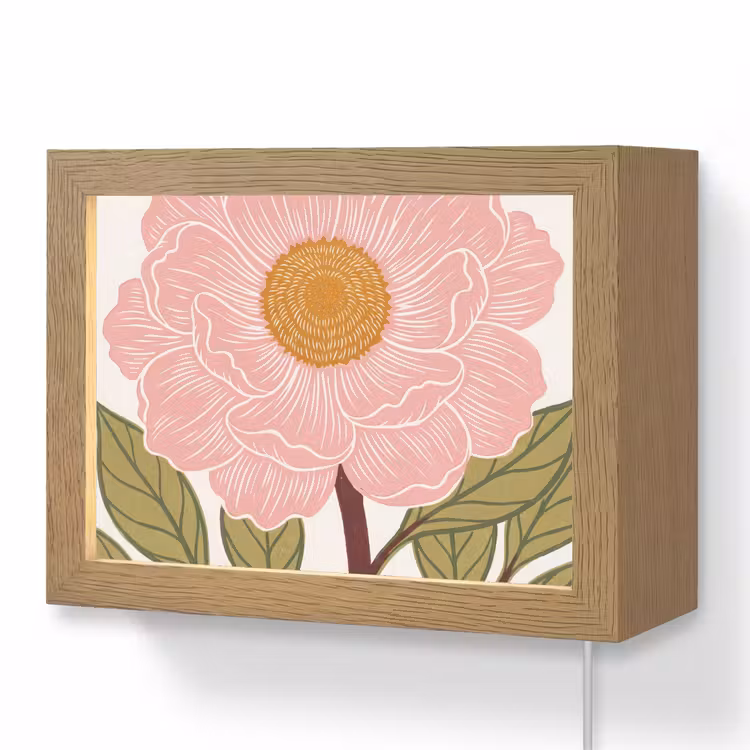 Lightbox - Wandlamp - Bloemen - Roze - Illustratie — 1