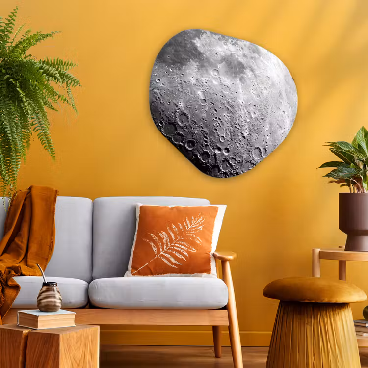 Organische schilderij - Aluminium - Maan - Kraters - Ruimte — 3