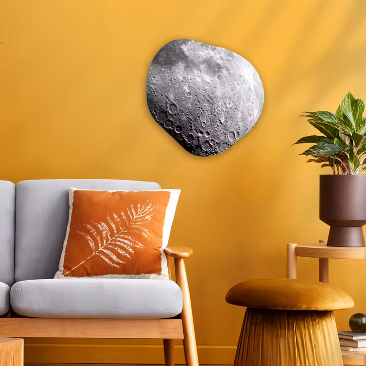 Organisch schilderij - Forex - Maan - Kraters - Ruimte — 3