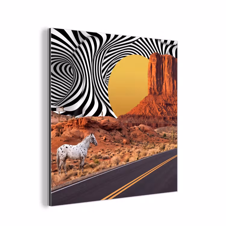 Aluminium schilderij - Paard - Woestijn - Natuur — 1